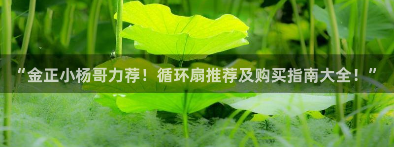 “金正小杨哥力荐！循环扇推荐及购买指南大全！”