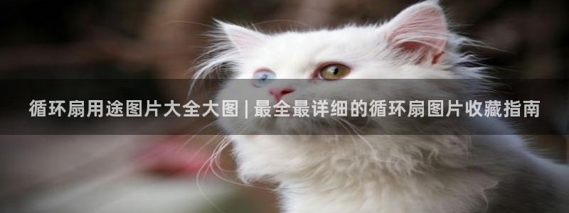 循环扇用途图片大全大图 | 最全最详细的循环扇图片收藏指南
