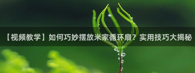 【视频教学】如何巧妙摆放米家循环扇？实用技巧大揭秘