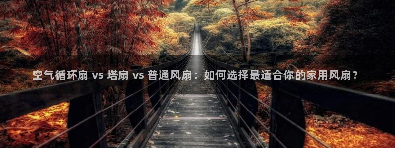 凯发k8国际下载：空气循环扇 vs 塔扇 vs 普通风扇：如何选择最适合你的家用风扇？