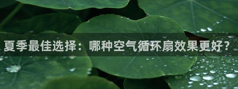 凯发app官网：夏季最佳选择：哪种空气循环扇效果更好？