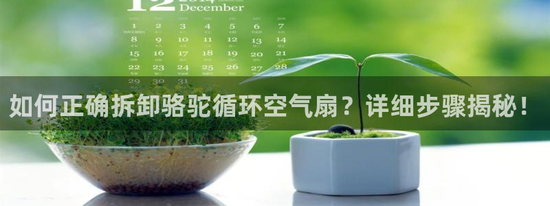 凯发国际k8官网登录：如何正确拆卸骆驼循环空气扇？详细步骤揭秘！