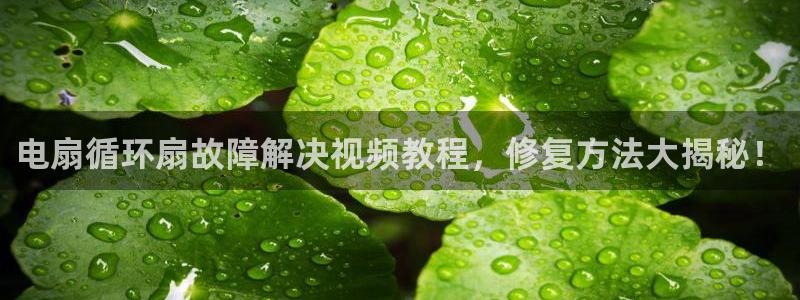 凯发k8娱乐是真实的吗：电扇循环扇故障解决视频教程，修复方法大揭秘！