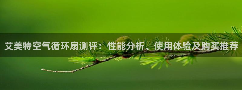 凯发国际app下载：艾美特空气循环扇测评：性能分析、使用体验及购买推荐