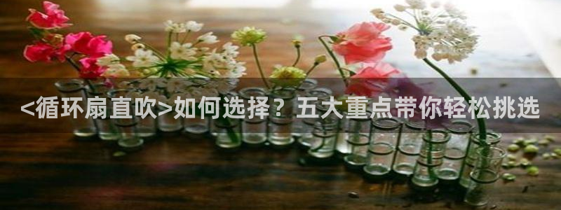 凯发旗舰厅官网：<循环扇直吹>如何选择？五大重点带你轻松挑选