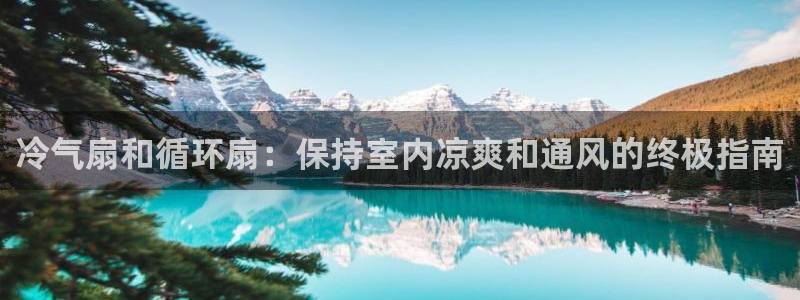 凯发k8娱乐手机版官网：冷气扇和循环扇：保持室内凉爽和通风的终极指南