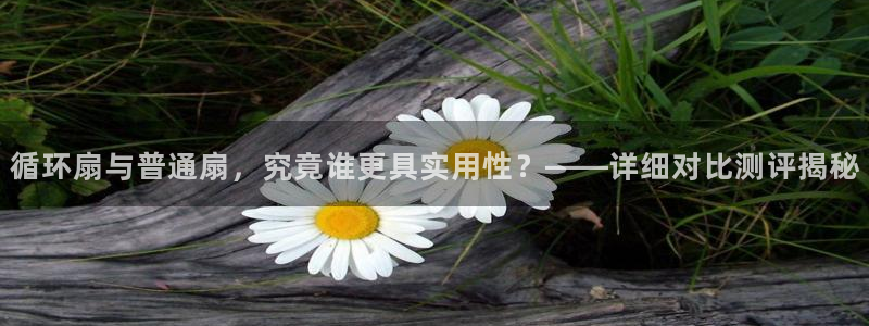 凯发k8手机网页：循环扇与普通扇，究竟谁更具实用性？——详细对比测评揭秘