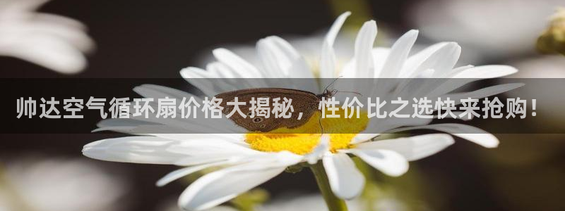 凯发k8娱乐欢迎您：帅达空气循环扇价格大揭秘，性价比之选快来抢购！