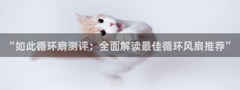 凯发娱网址是什么：“如此循环扇测评：全面解读最佳循环风扇推荐”
