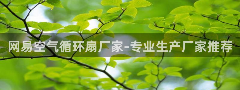凯发官网入口首页：网易空气循环扇厂家-专业生产厂家推荐