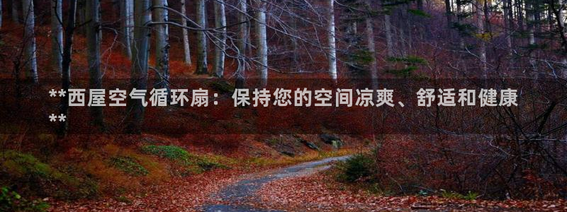 凯发旗舰平台：**西屋空气循环扇：保持您的空间凉爽、舒适和健康
**