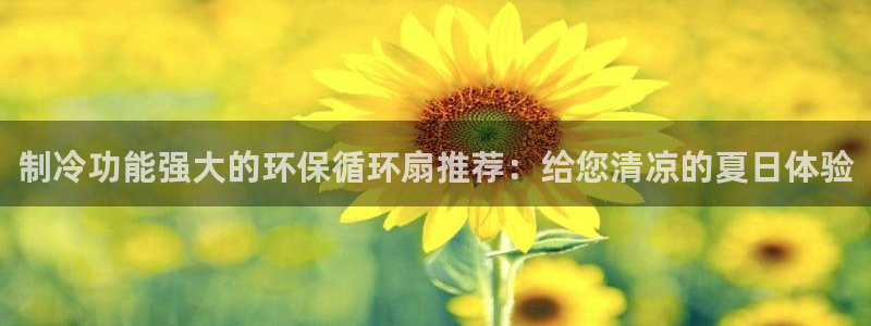 凯发k8娱乐：制冷功能强大的环保循环扇推荐：给您清凉的夏日体验