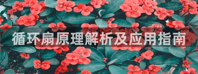 凯发app平台：循环扇原理解析及应用指南