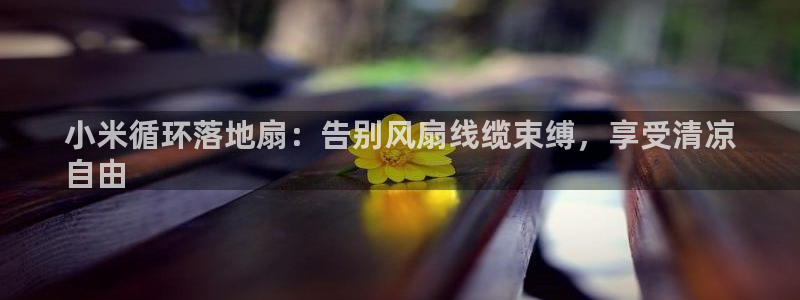 凯发手机app官网：小米循环落地扇：告别风扇线缆束缚，享受清凉
自由