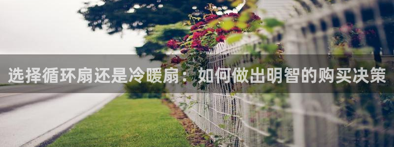 凯发app官网：选择循环扇还是冷暖扇：如何做出明智的购买决策