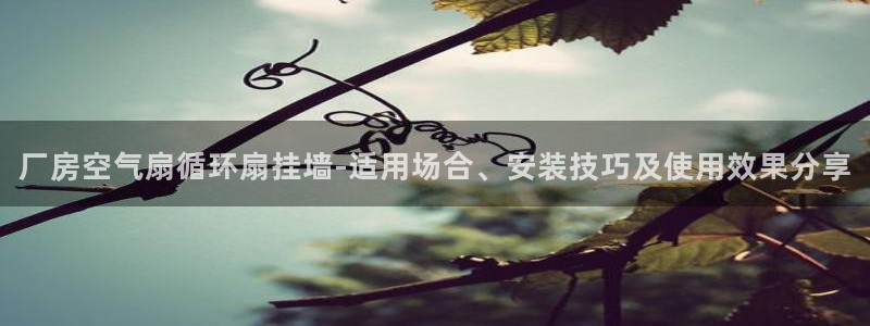 凯发线上客户端免费下载：厂房空气扇循环扇挂墙-适用场合、安装技巧及使用效果分享