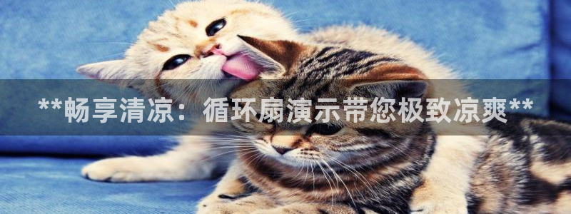 凯发国际平台app：**畅享清凉：循环扇演示带您极致凉爽**