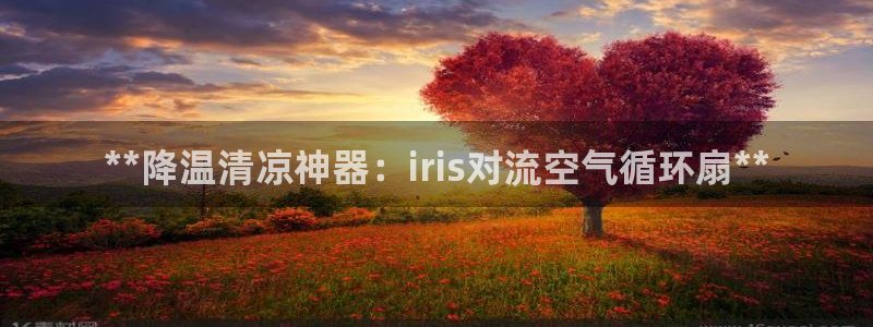 凯发k8娱乐是什么平台