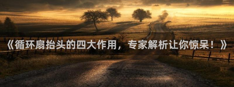 凯发国际网站：《循环扇抬头的四大作用，专家解析让你惊呆！》