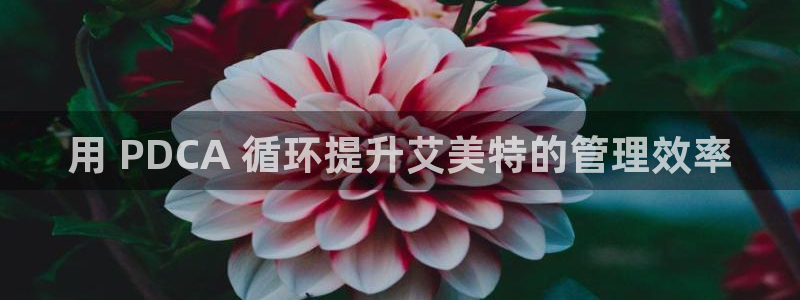 凯发娱乐k8国际：用 PDCA 循环提升艾美特的管理效率