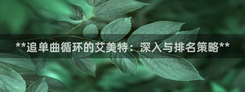 凯发k8娱乐官网手机端中心：**追单曲循环的艾美特：深入与排名策略**
