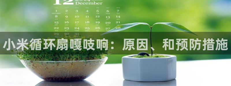 凯发官方手机app：小米循环扇嘎吱响：原因、和预防措施