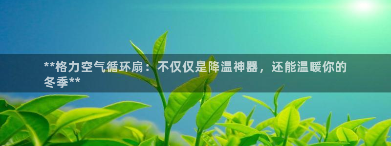 凯发国际真人：**格力空气循环扇：不仅仅是降温神器，还能温暖你的
冬季**