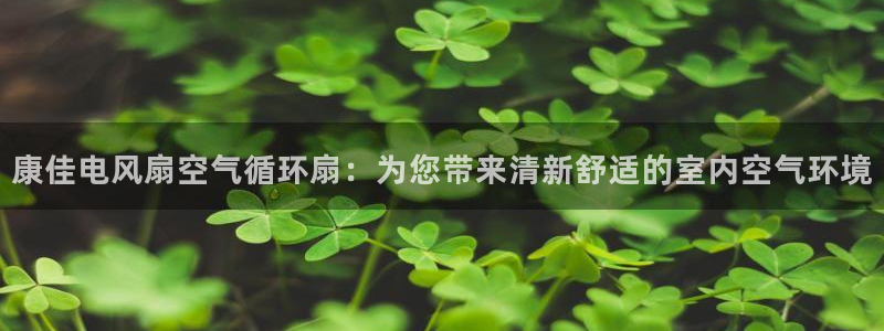 凯发国际平台首页：康佳电风扇空气循环扇：为您带来清新舒适的室内空气环境