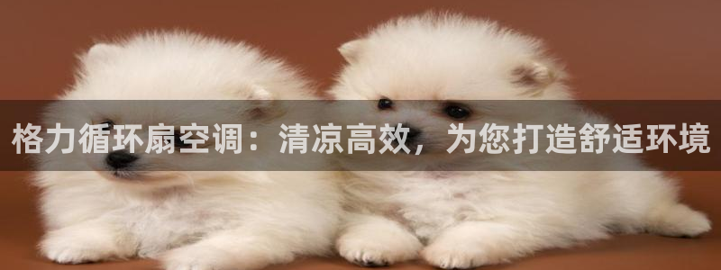 凯发官网登录手机版：格力循环扇空调：清凉高效，为您打造舒适环境