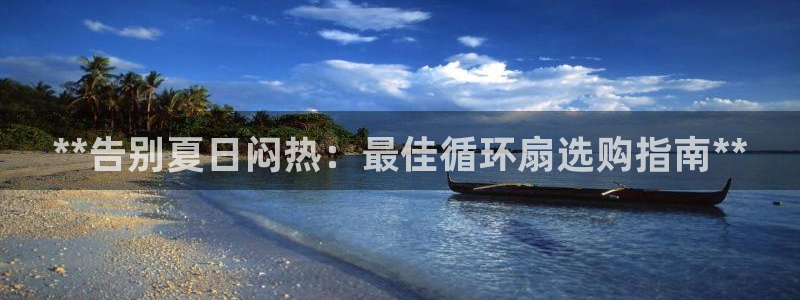 凯发手机官网客户端：**告别夏日闷热：最佳循环扇选购指南**