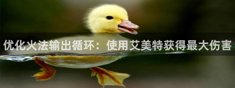凯发平台开户：优化火法输出循环：使用艾美特获得最大伤害