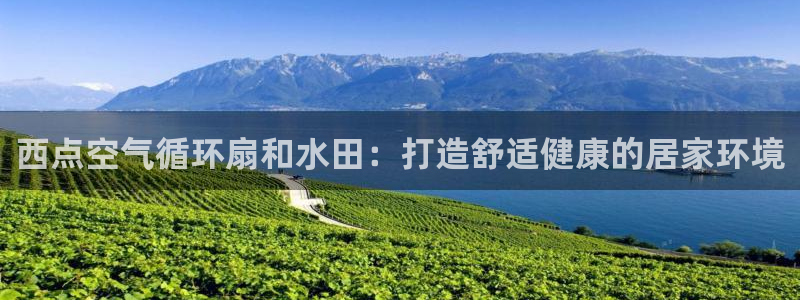 凯发注册手机版官网：西点空气循环扇和水田：打造舒适健康的居家环境