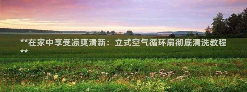 凯发K8天生赢家一触即发：**在家中享受凉爽清新：立式空气循环扇彻底清洗教程
**