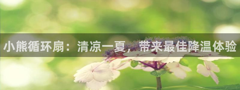 凯发k8娱乐：小熊循环扇：清凉一夏，带来最佳降温体验
