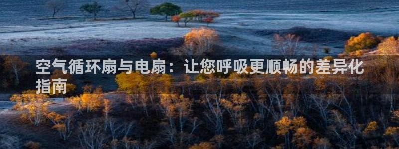 凯发k8娱乐平台网址：空气循环扇与电扇：让您呼吸更顺畅的差异化
指南