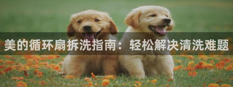 凯发国际平台官网：美的循环扇拆洗指南：轻松解决清洗难题